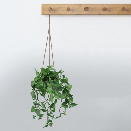 Kunst Hangplant Anthurium Blad – Realistische Groene Slinger – 54 cm – Voor Binnen & Buiten – Inclusief Ophangkoord & Pot