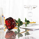 Glazen Vaas met Rode Roos - Decoratief & Elegant - Rood