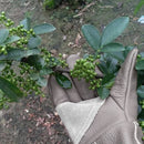 ProductAsset