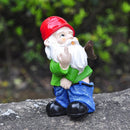 Ondeugende Tuinkabouter met Opgeheven Middelvinger