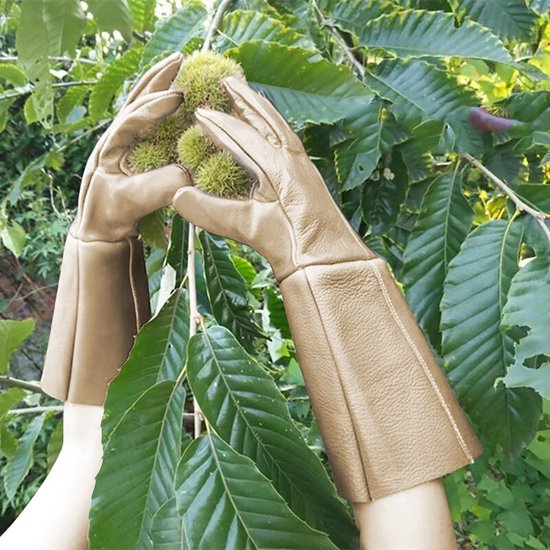 Waterafstotende Lederen Tuinhandschoenen M met Lange Manchet