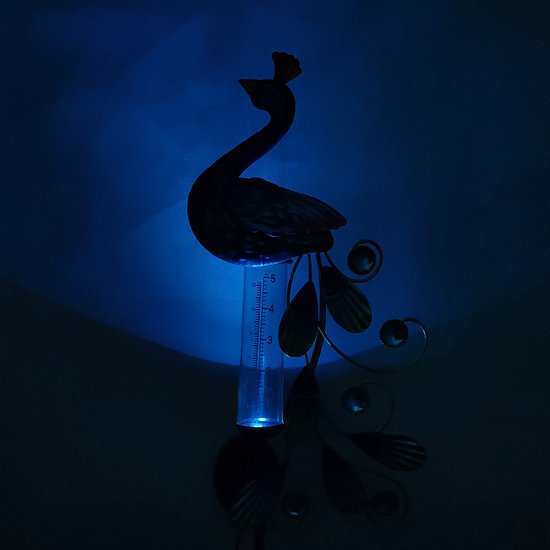 Xtraworks - Solar lamp Pauw met regenmeter - IP44 - Tuinverlichting