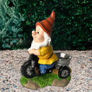 Natuurlijke Vreugde Kabouter op Driewieler Vogelvoederplek