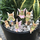 6-delige bloemenfeeën tuinstekerset voor tuin & pot