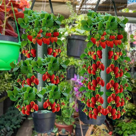 Hangende Aardbeienzakjes Groen - 2 Stuks - 10 Poorten
