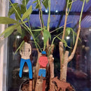 Houten Tuinsteker Set - Vader, Zoon & Hond - Decoratieve Plantenstekers - 18 cm, 13 cm & 11 cm Hoog
