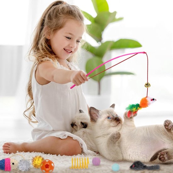 Kattenspeelgoed 28-delig - Tunnel, muisjes, ballen & catnip