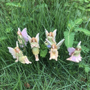 6 delige Tuinstekerset bloemenfeeën-Betoverende Tuin- en Potdecoratie