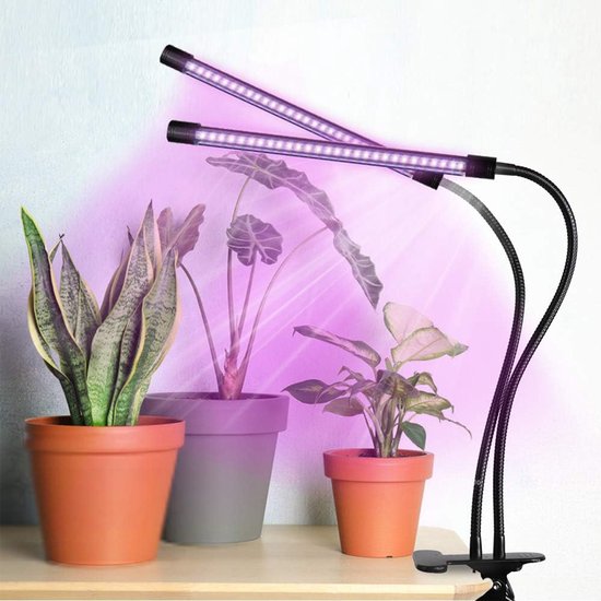 ProductAsset