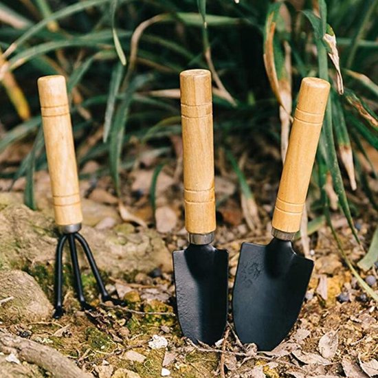 10-delige Mini Bloementuingereedschapset - ideaal voor op balkon , bloementuintje of bonsai boomjes - leuk kado voor de feestdagen