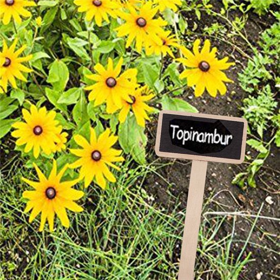 20 Stuks Houten Krijtbord Plantenlabels met Paaltjes