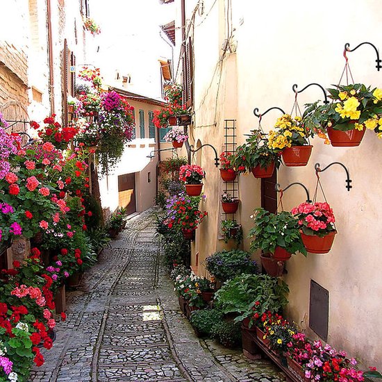 Wandbloempothaak Plantenstandaard 33x16x5cm zwart