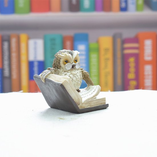 Hars Uil Ornament - Lezende Uil Desktop Decoratie