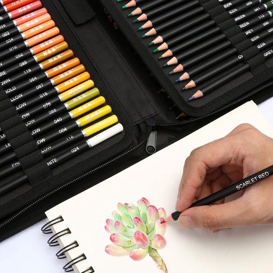 145-delig Tekenset voor Schetsen: Grafietpotloden, Houtskool, Olie-gekleurde Pen, Draagtas voor Kunststudenten en Schooltekenaars