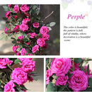 2 Stuks Klimop Slinger-Simulatie rose vine paars