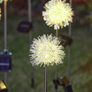 2x Solar Tuinlamp Paardenbloem - Warm Wit Sfeerlicht