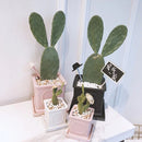 50 Stuks Krijtbord met Paaltje voor Tuin en Horeca - Zwart