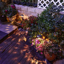 ProductAsset