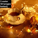 Xtraworks -lichtsnoer met parels- Decoratieve lichtsnoer -werkt op batterij 5 meter 50 lamp warm licht