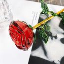 Glazen Vaas met Rode Roos - Decoratief & Elegant - Rood