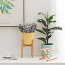 ProductAsset