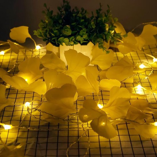 Xtraworks - Ginkgo Blad Lichtslinger 2 meter