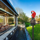 Zonne-energie Buitenlamp - Papegaai Fakkel