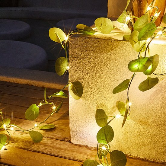 led lichtstring eucalyptusbladeren wijnstok licht-werkt op USB- 10 meter 100 lampjes