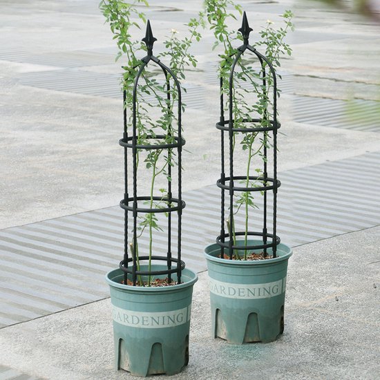 Zwart Klimplantenrek Obelisk 110cm - Duurzaam en Stijlvol