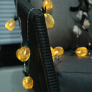 Xtraworks Lichtslinger Ananas 1,5m 10 LED op Batterij