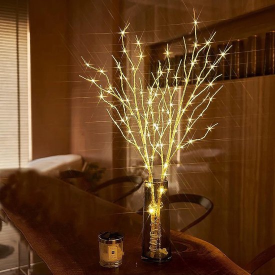 Berkentaklamp 80cm – 50 LED – Decoratieve Taklamp – Warm Wit – Voor Binnen & Buiten – IP43 – Incl. Lampen