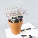 50 stuks Charmant Krijtbord met Paaltje voor Tuin en Horeca-zwart-4x2.2x6.3cm