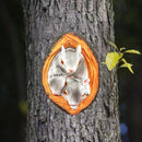 Realistisch Eekhoorn Tuindecoratie Beeldje van Hars 9x4x12.7