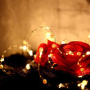 Xtraworks -lichtsnoer met parels- Decoratieve lichtsnoer -we