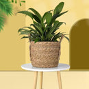 3-delige Grasvezel Plantmanden Set - Duurzaam en Stijlvol