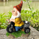 Natuurlijke Vreugde Kabouter op Driewieler Vogelvoederplek