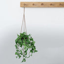 Kunst Hangplant Anthurium Blad – Realistische Groene Slinger – 54 cm – Voor Binnen & Buiten – Inclusief Ophangkoord & Pot