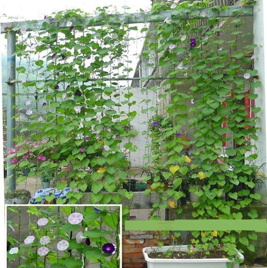 TDR-klimnet voor planten en bloemen-groen 180 * 360CM