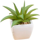 TDR -  6x kunst vetplantjes - Succulenten - Mini kamerplanten - in mooie gevormde witte keramieken potjes - ↑8 cm -Ø 6.6 cm