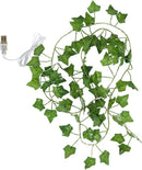 Xtraworks LED lichtsnoer esdoorn klimop 2m USB 20 lampjes