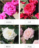 2 Stuks Klimop Slinger-simulatie rose vine wit