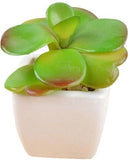 6x Kunstvetplantjes in Witte Keramieken Potjes - 8 cm