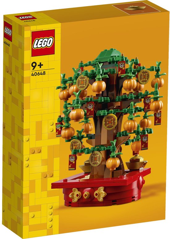 LEGO Geldboom - 40648