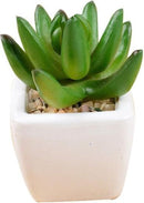 TDR -  6x kunst vetplantjes - Succulenten - Mini kamerplanten - in mooie gevormde witte keramieken potjes - ↑8 cm -Ø 6.6 cm