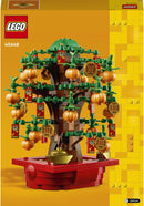 LEGO Geldboom - 40648