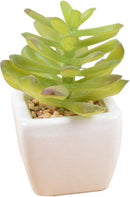 6x Kunstvetplantjes in Witte Keramieken Potjes - 8 cm