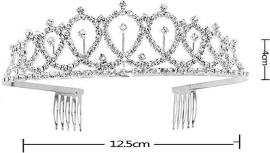 Verjaardag Sjerp en Tiara - Birthday Queen - Zilver