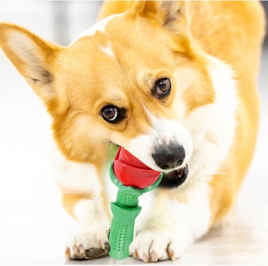 Bijtspeelgoed voor hond, tandverzorging, duurzaam TPE