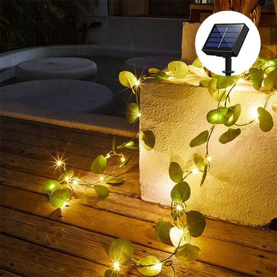 Solar lamp snoer eucalyptus wijnstok 2m 20 lichten